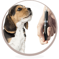 Vaping Vapes Wholesale Vape Safety Vape Health Effects